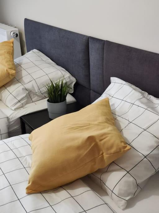 Piekny Apartament 3-Pokojowy Κατοβίτσε Εξωτερικό φωτογραφία